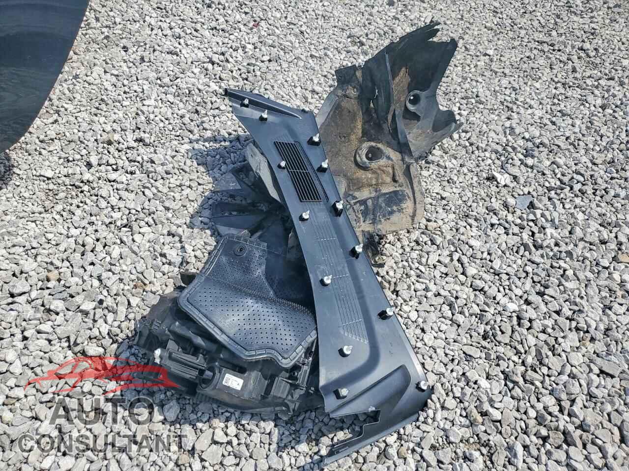 TESLA MODEL 3 2025 - 5YJ3E1EA2SF000804