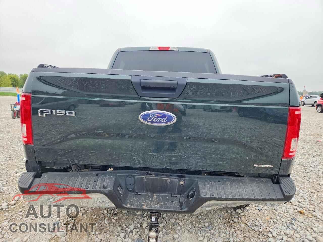FORD F150 2015 - 1FTEW1EFXFFC92205