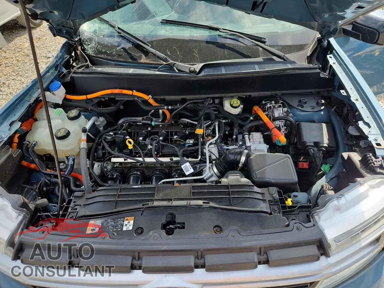 FORD MAVERICK 2022 - 3FTTW8E34NRA56768