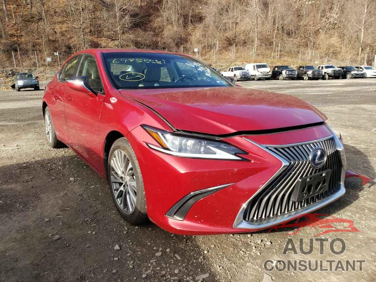 LEXUS ES300 2021 - 58ADA1C19MU007363