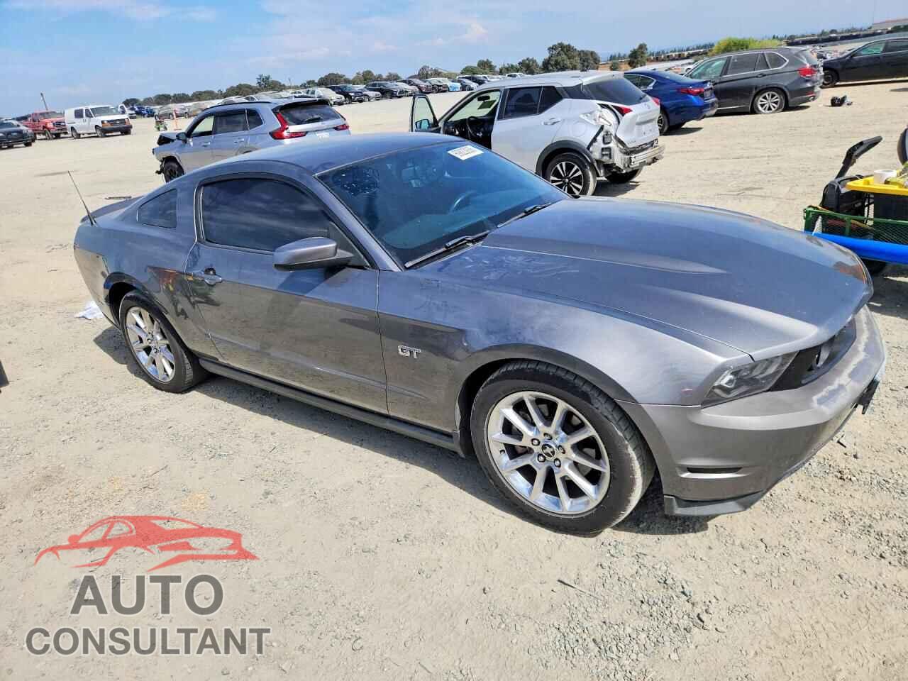 FORD MUSTANG 2010 - 1ZVBP8CH0A5111542