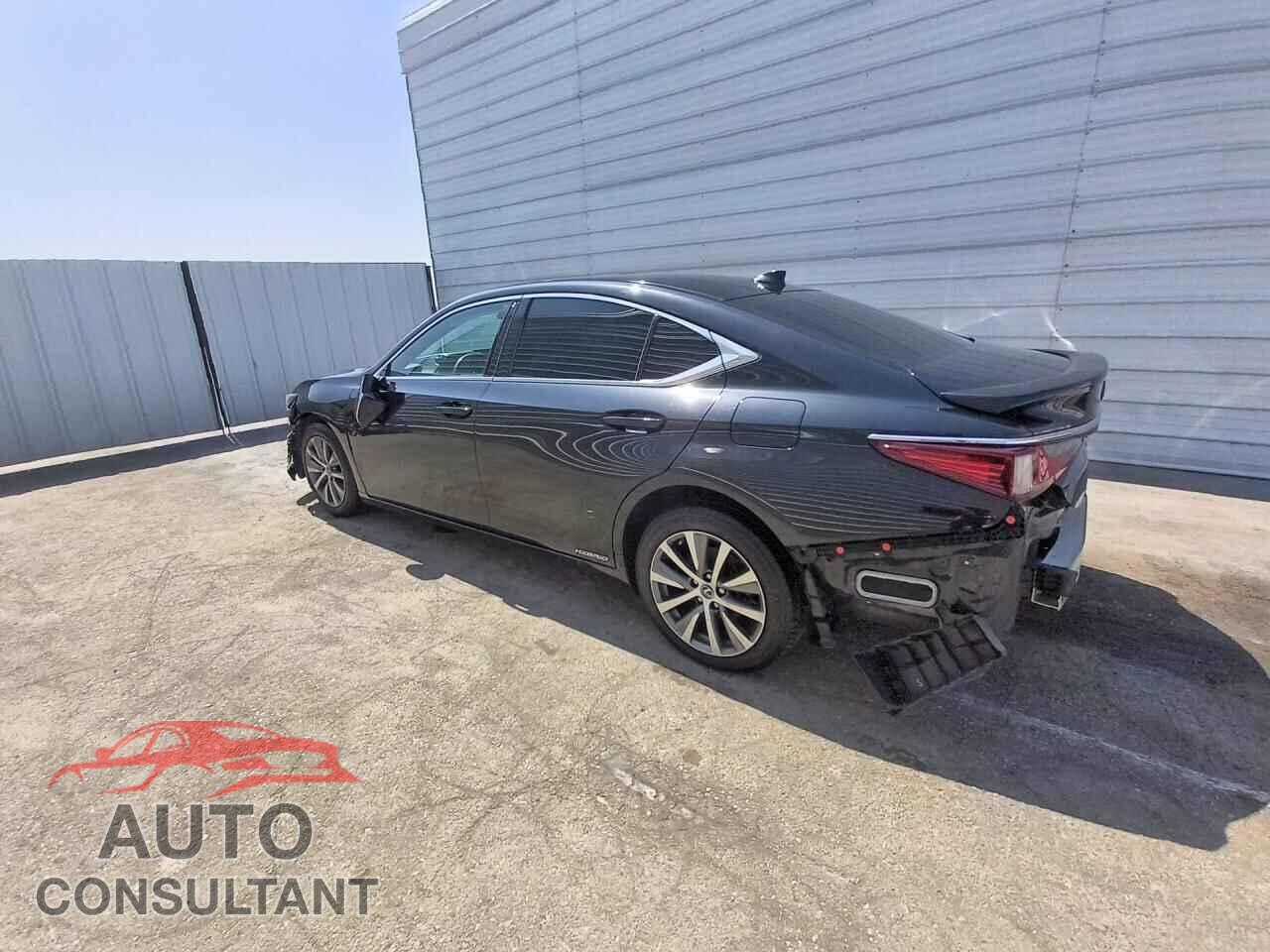 LEXUS ES300 2020 - 58AC21B18LU006701