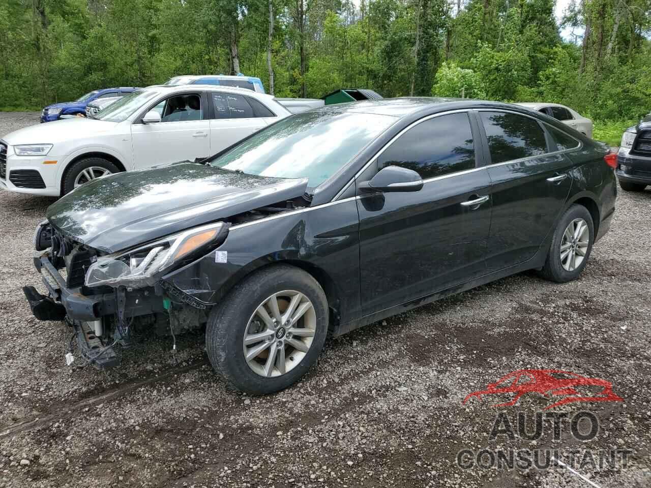 HYUNDAI SONATA 2017 - 5NPE24AF1HH441144