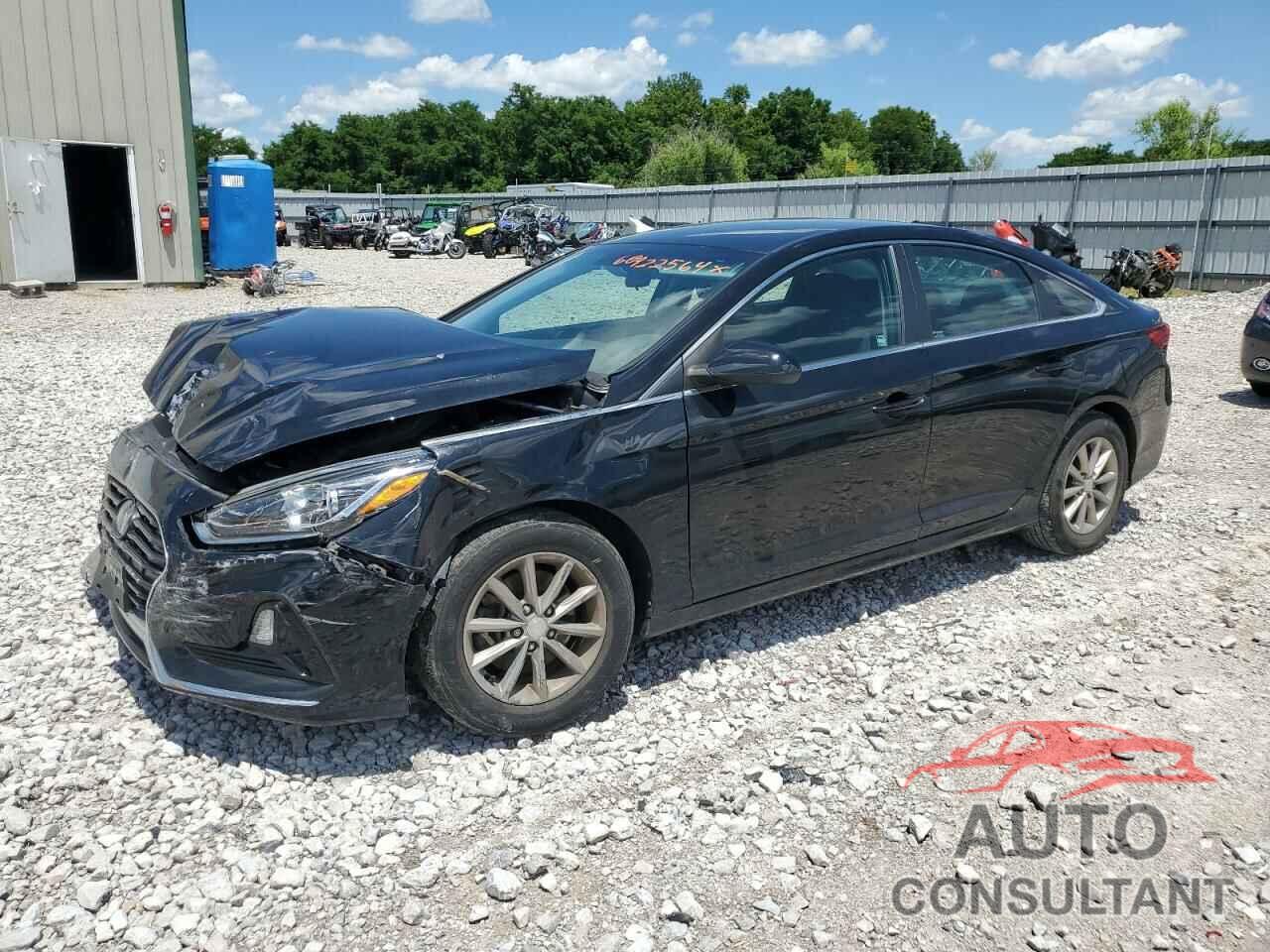 HYUNDAI SONATA 2019 - 5NPE24AF7KH756490