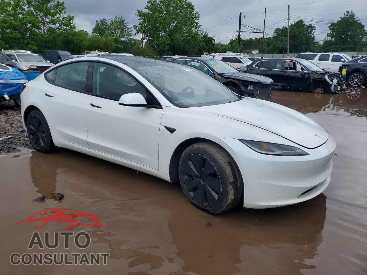 TESLA MODEL 3 2024 - 5YJ3E1EA5RF848881