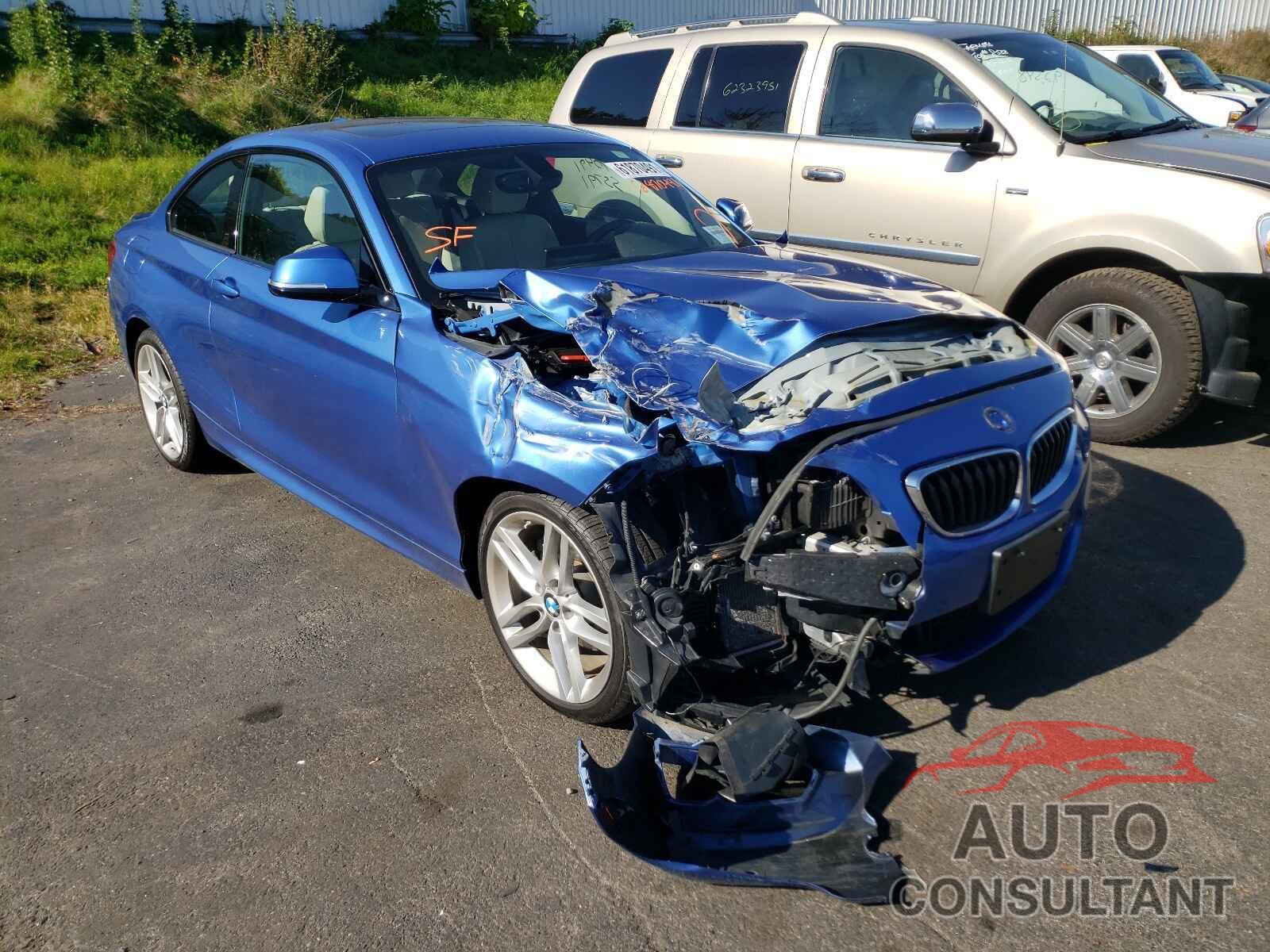 BMW 2 SERIES 2016 - WBA1G9C51GV598640