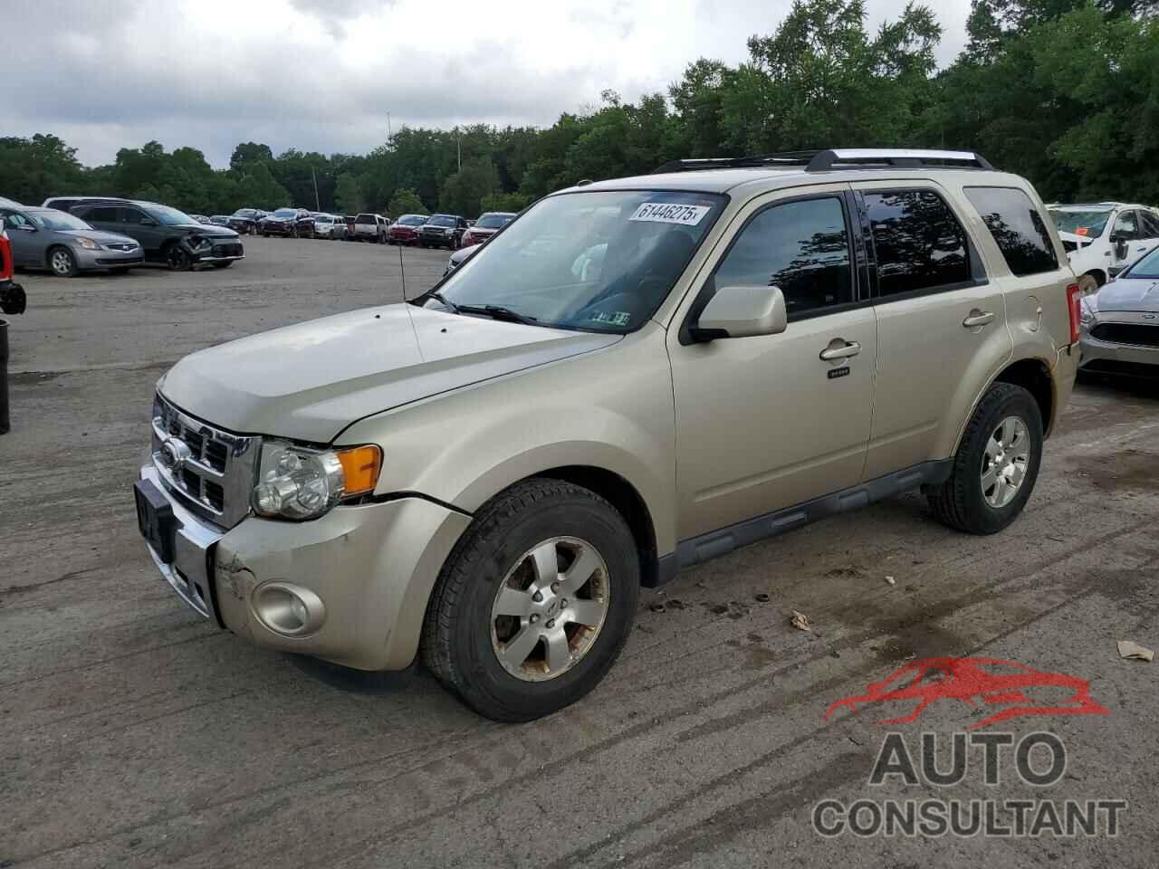FORD ESCAPE 2012 - 1FMCU9EG9CKC27378