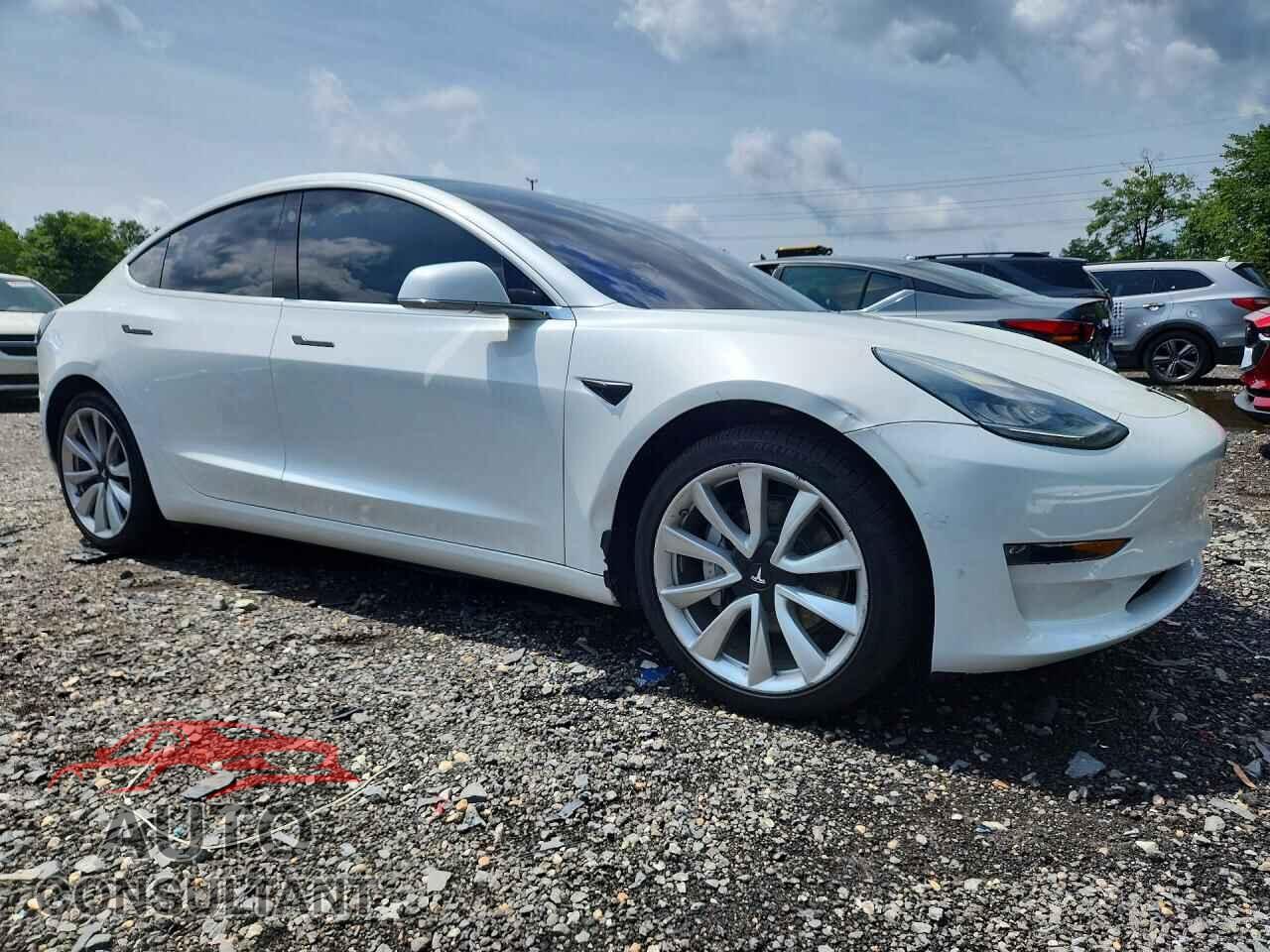 TESLA MODEL 3 2019 - 5YJ3E1EA9KF311713