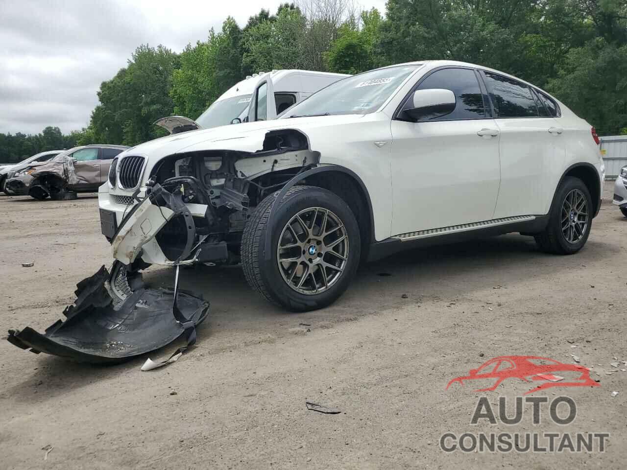 BMW X6 2013 - 5UXFG2C51DL784376