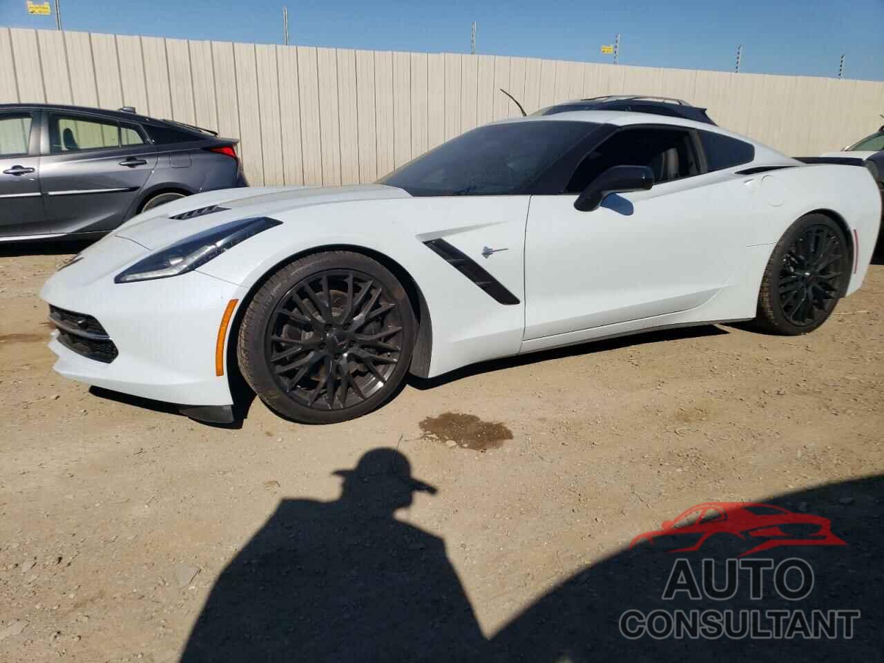 CHEVROLET CORVETTE 2019 - 1G1YJ2D73K5111255