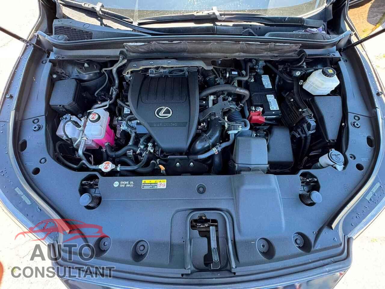 LEXUS RX350 2023 - 2T2BAMCA2PC026452