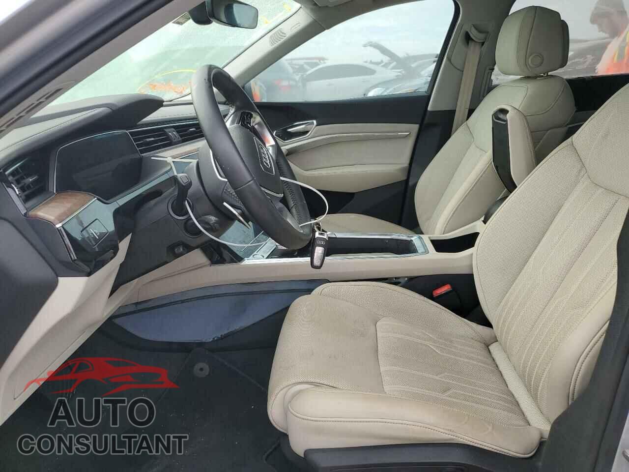 AUDI E-TRON 2019 - WA1VABGE7KB013572