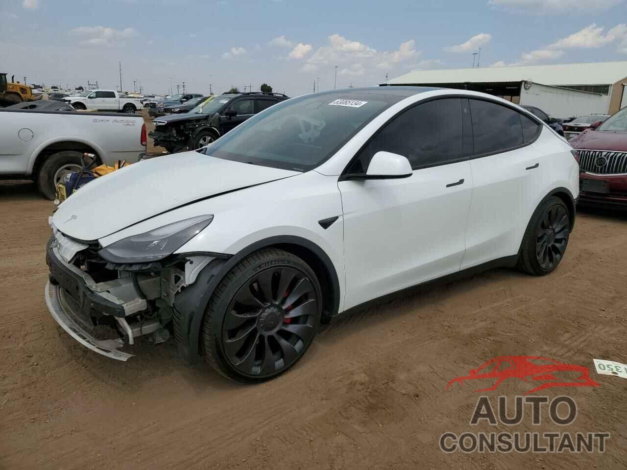 TESLA MODEL Y 2022 - 7SAYGDEF2NF443989