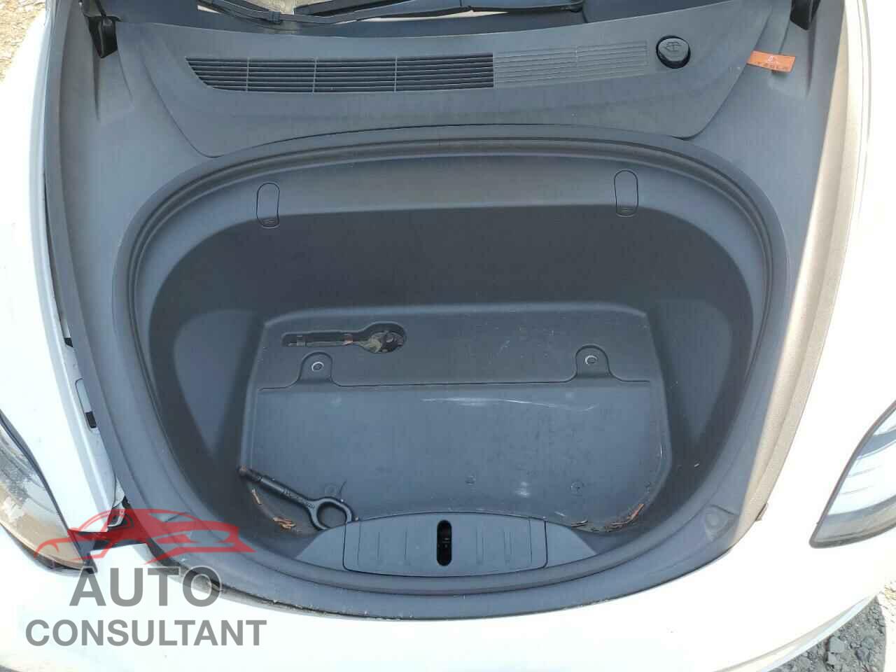 TESLA MODEL 3 2019 - 5YJ3E1EA4KF483891