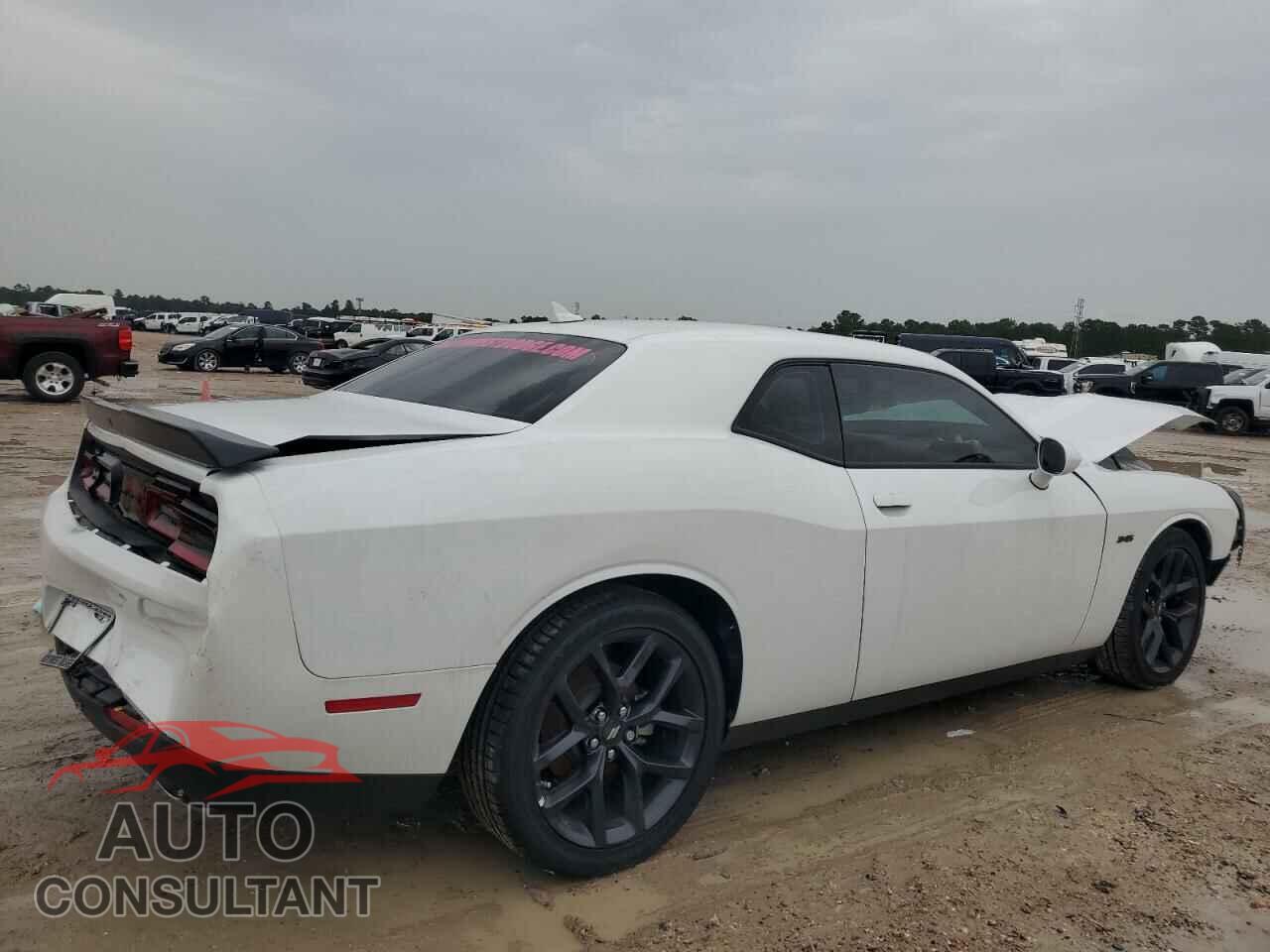 DODGE CHALLENGER 2023 - 2C3CDZBT4PH694828