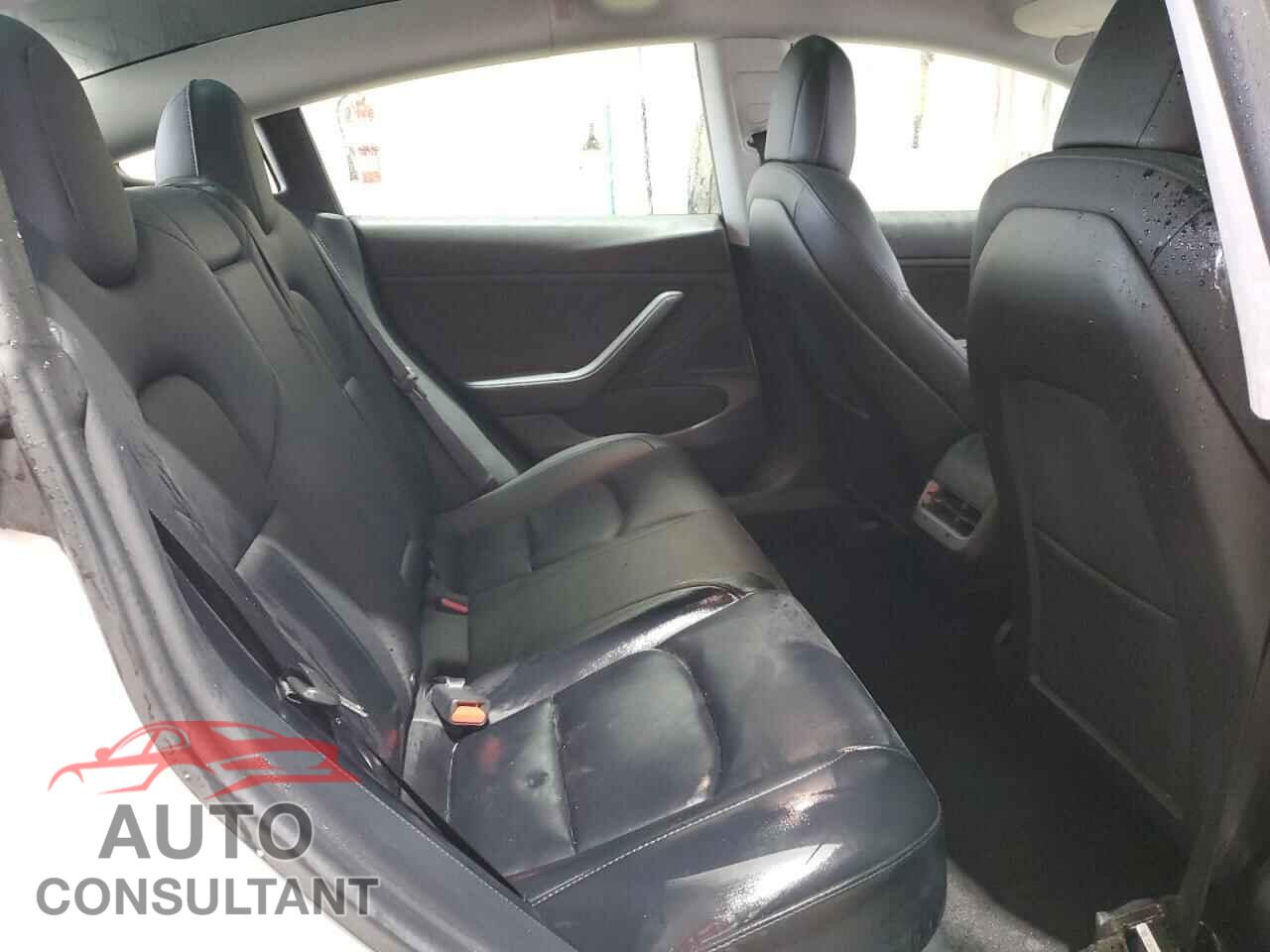 TESLA MODEL 3 2019 - 5YJ3E1EA2KF484215
