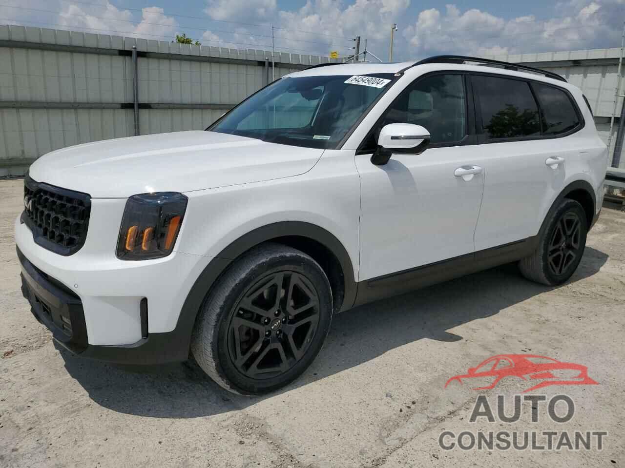 KIA TELLURIDE 2024 - 5XYP5DGC1RG416265