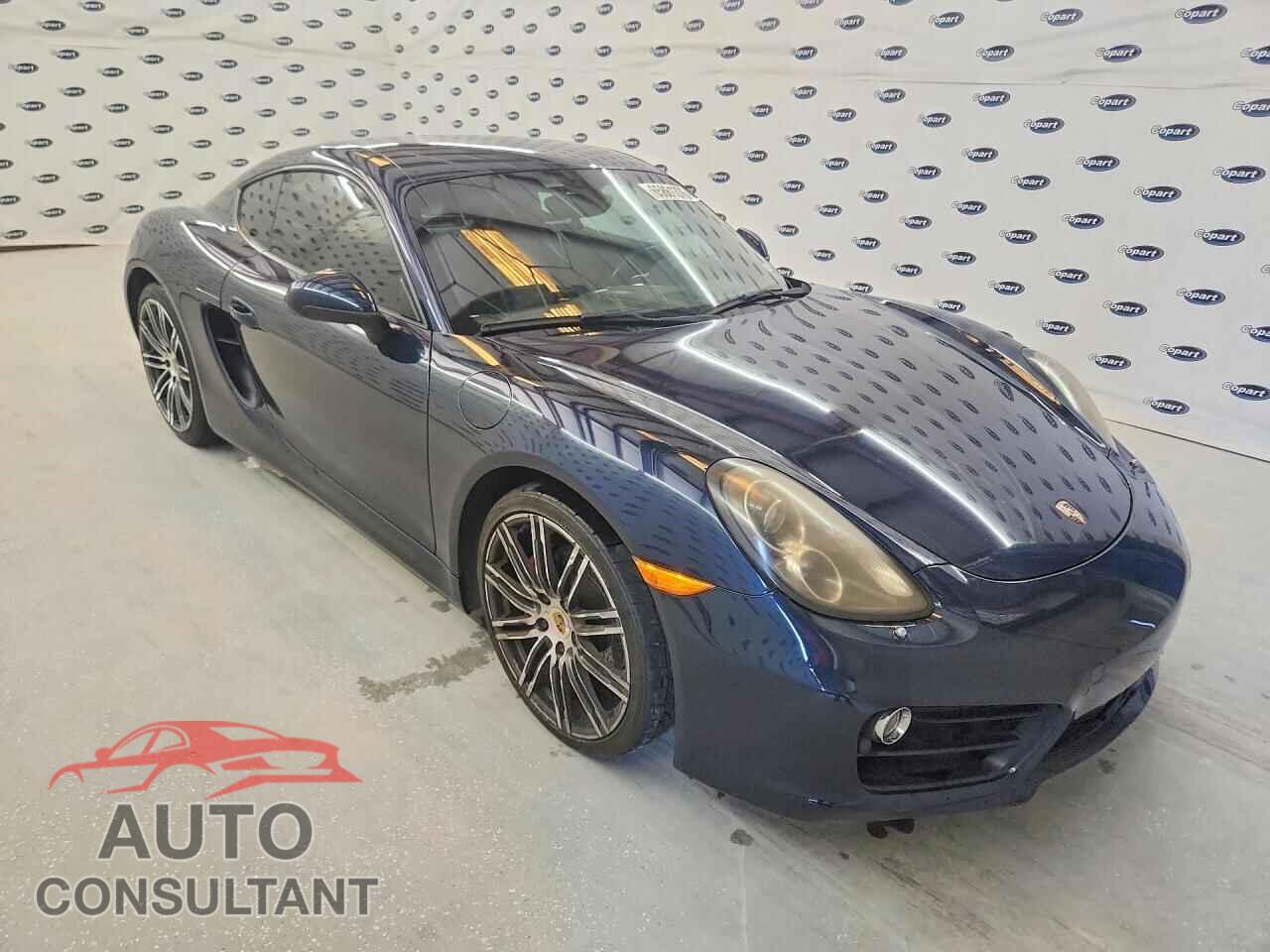 PORSCHE CAYMAN 2015 - WP0AB2A82FK183641