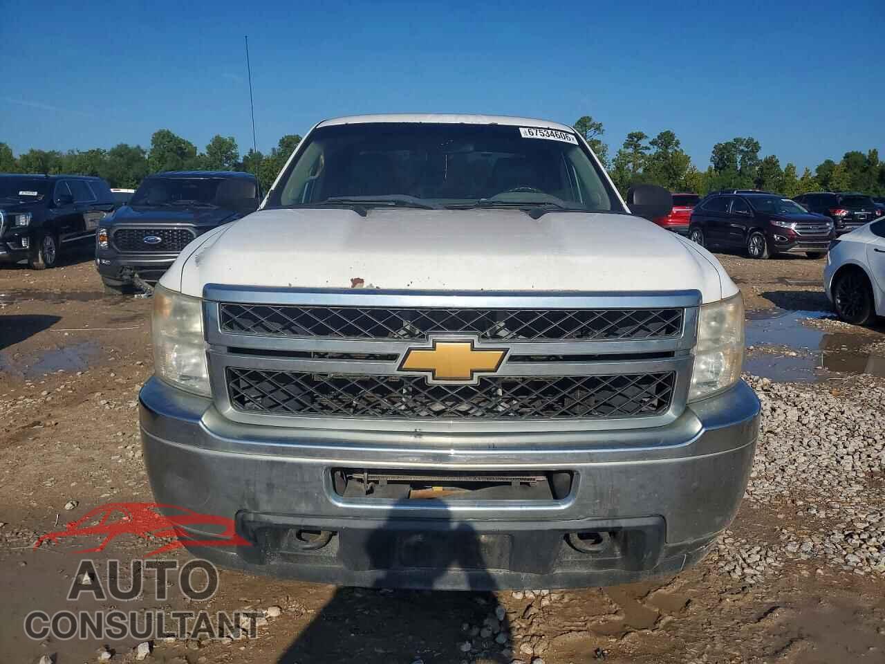 CHEVROLET SILVERADO 2013 - 1GC2CVCG4DZ193745