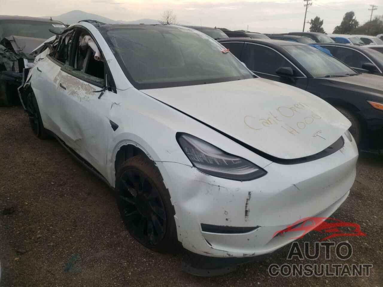 TESLA MODEL Y 2021 - 5YJYGDEE7MF122548
