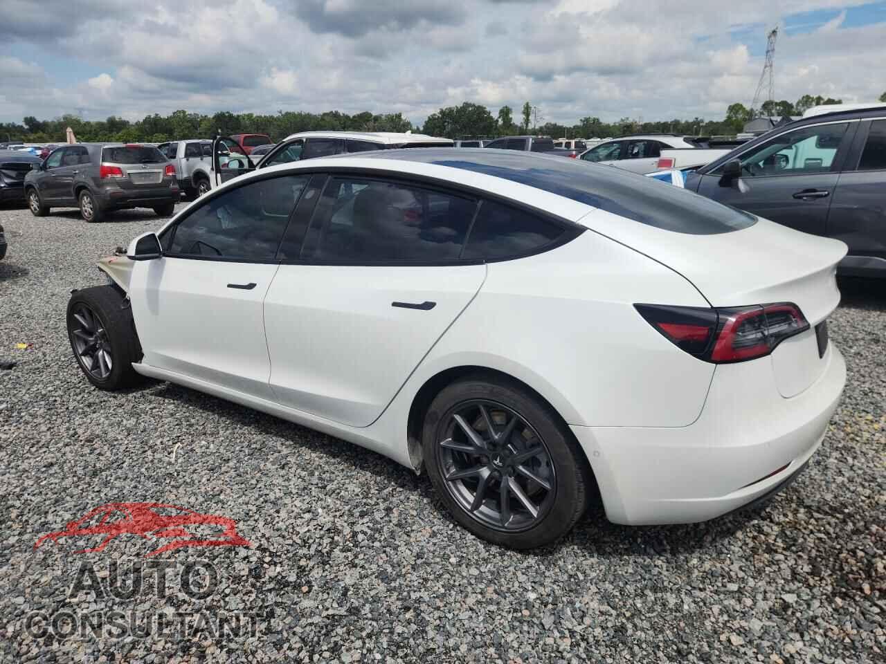 TESLA MODEL 3 2021 - 5YJ3E1EA2MF086781