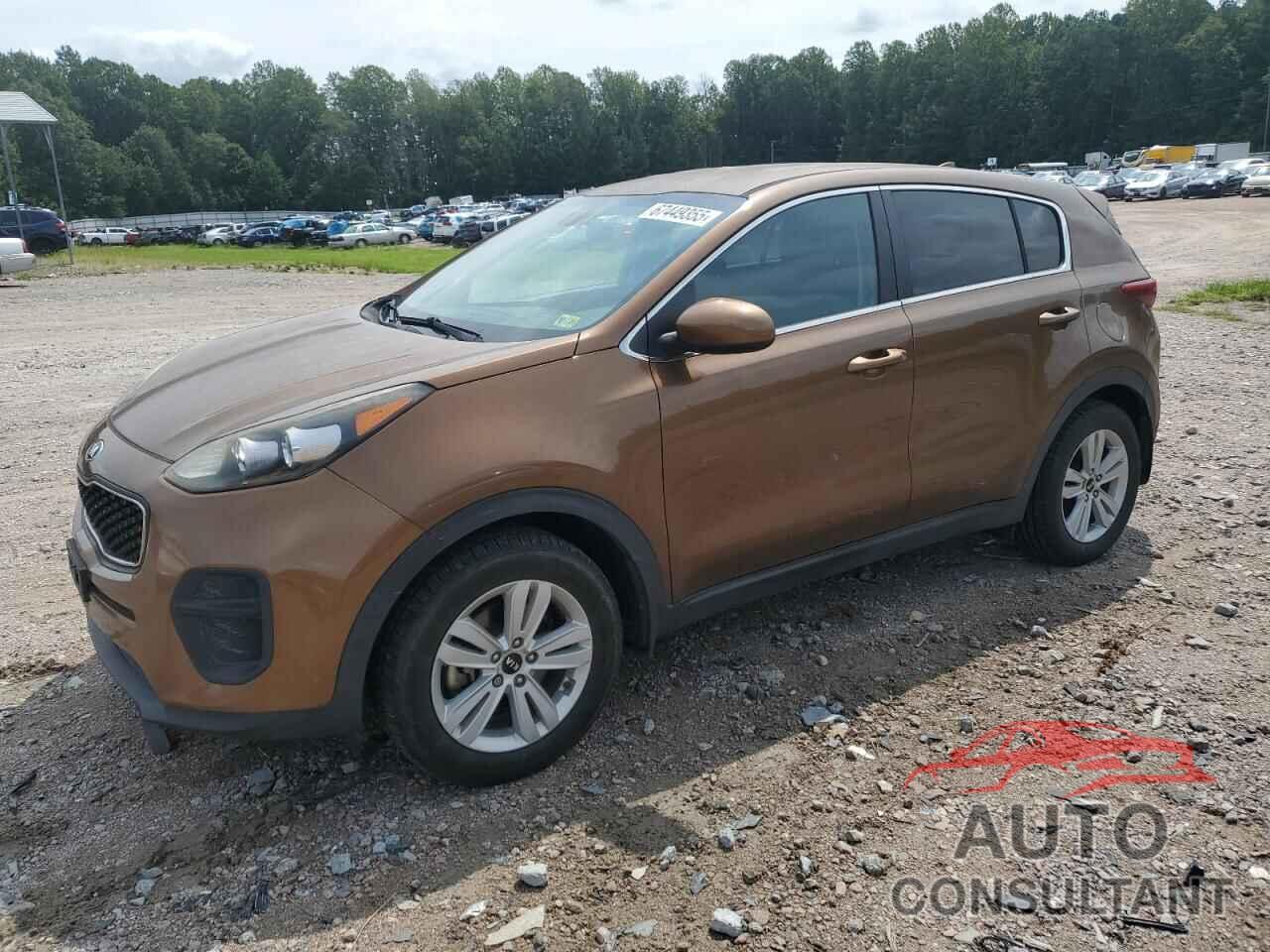 KIA SPORTAGE 2017 - KNDPM3AC4H7236604