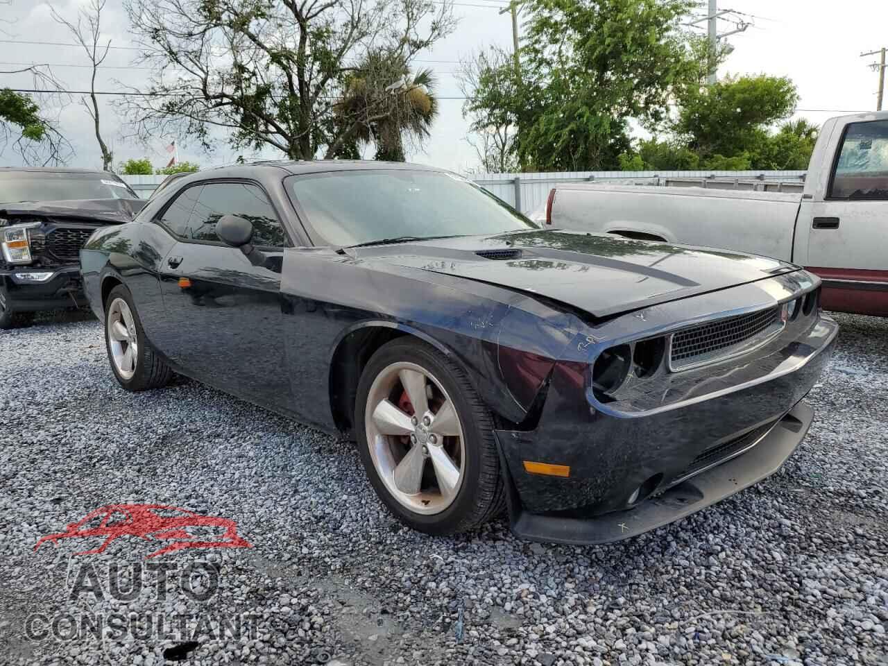 DODGE CHALLENGER 2014 - 2C3CDYBT3EH133947