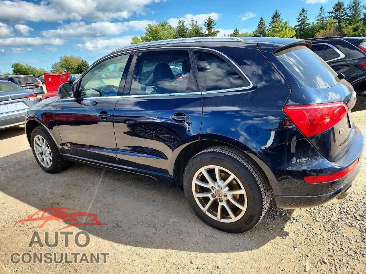 AUDI Q5 2010 - WA1CKAFP2AA010682