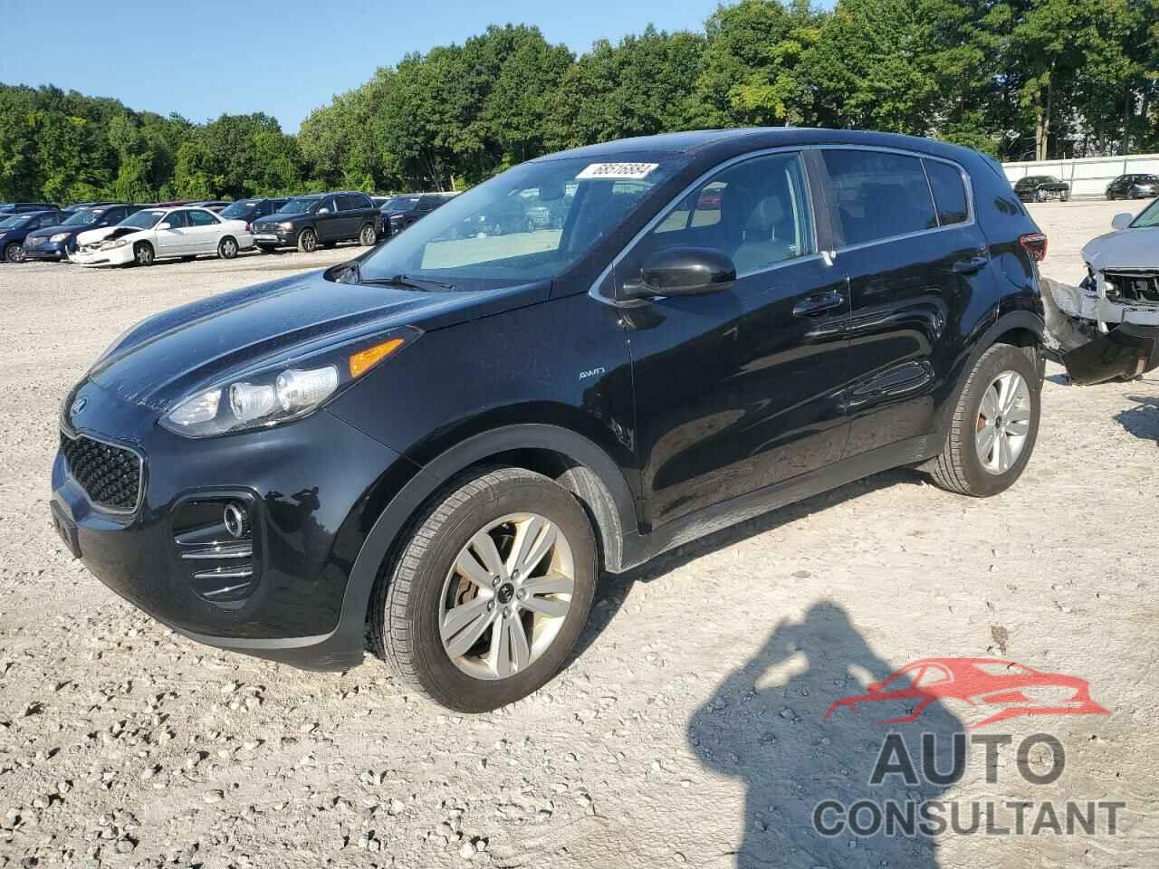 KIA SPORTAGE 2019 - KNDPMCAC9K7491515