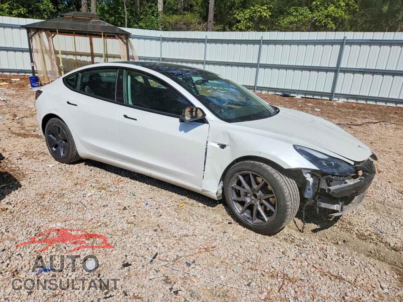 TESLA MODEL 3 2021 - 5YJ3E1EA3MF042241