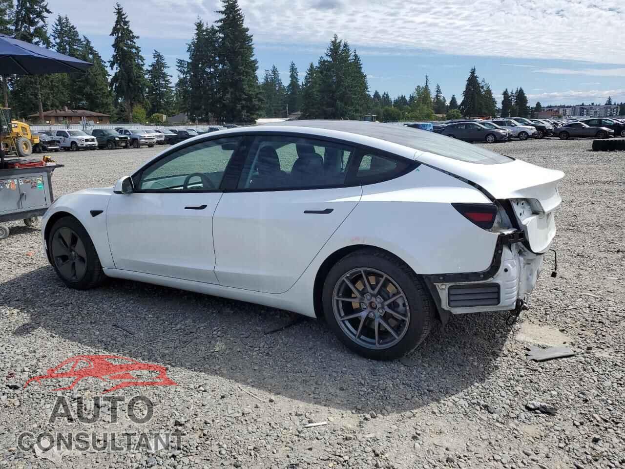 TESLA MODEL 3 2021 - 5YJ3E1EA0MF851552