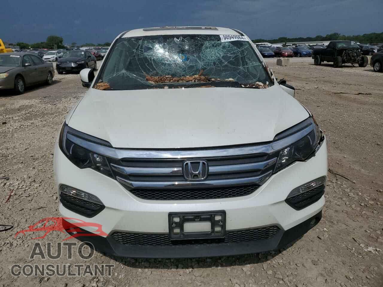 HONDA PILOT 2016 - 5FNYF5H54GB036459