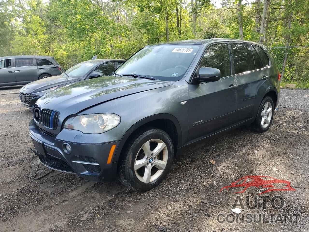 BMW X5 2011 - 5UXZV4C56BL412222