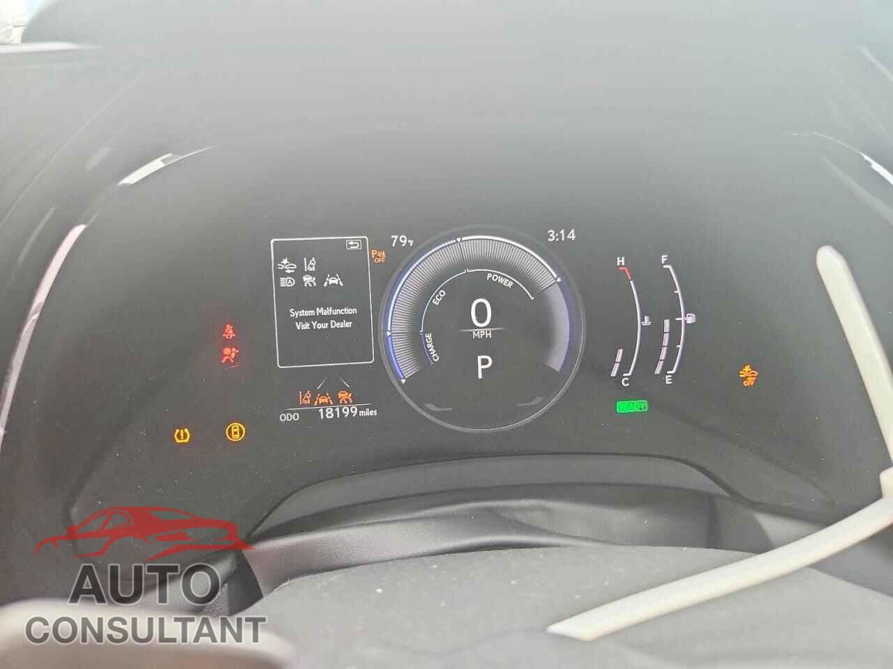 LEXUS UNKNOWN 2024 - 2T2BBMCA6RC046090