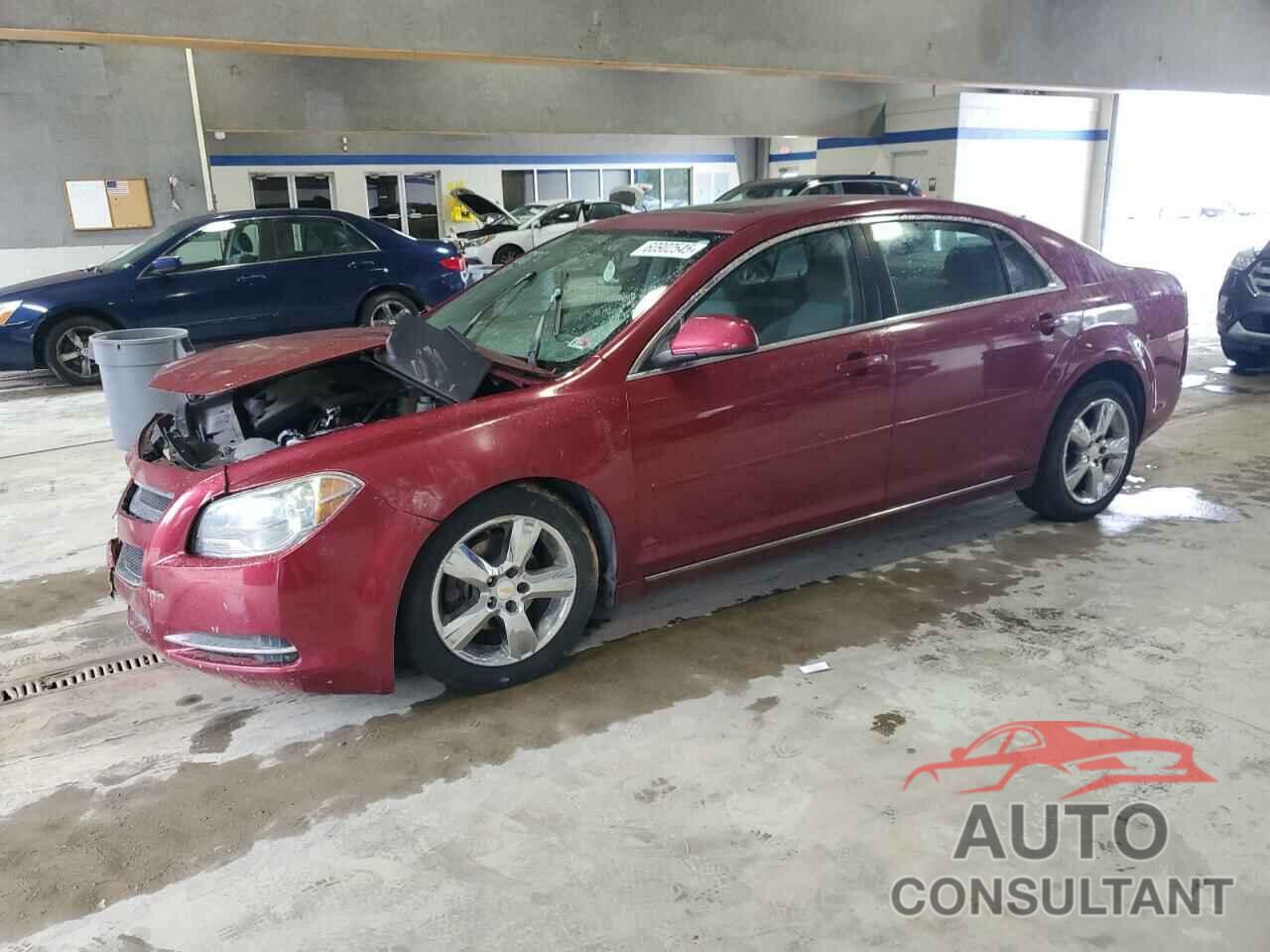 CHEVROLET MALIBU 2011 - 1G1ZC5E15BF340038