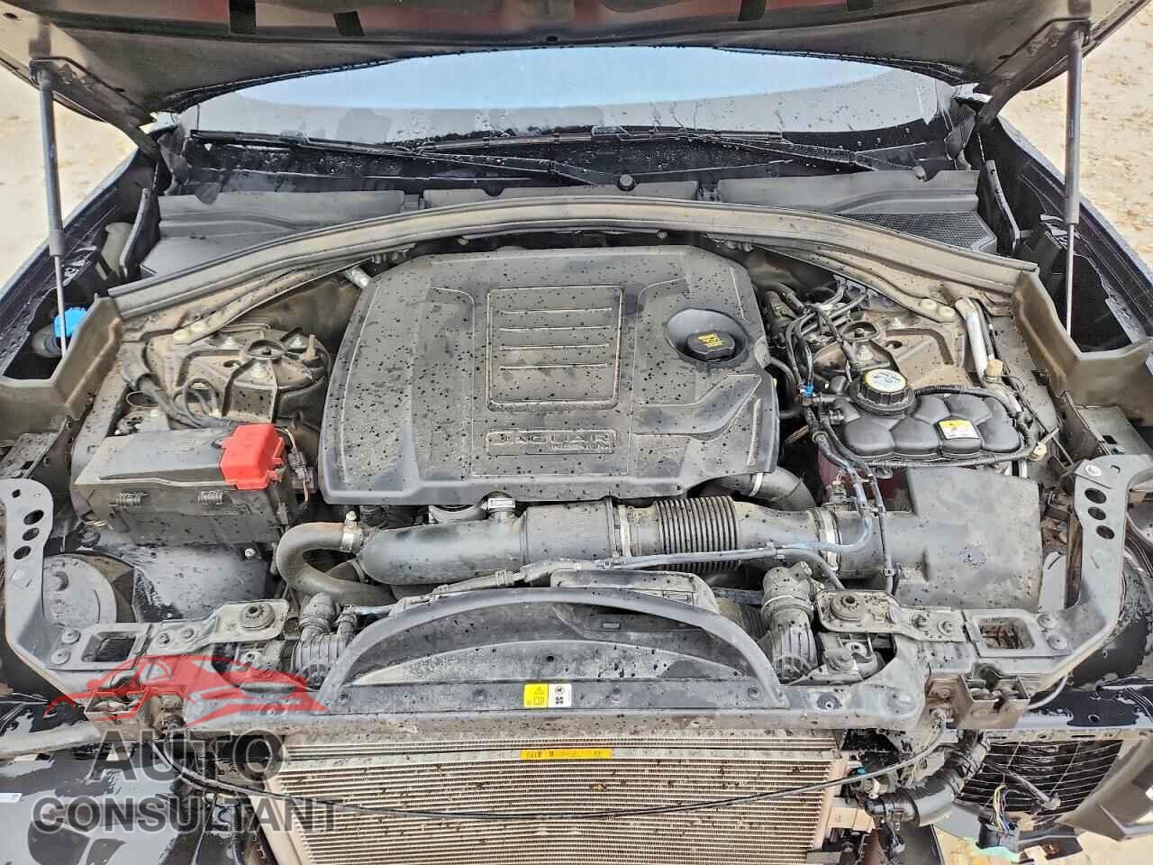 JAGUAR F-PACE 2019 - SADCJ2FX2KA362875