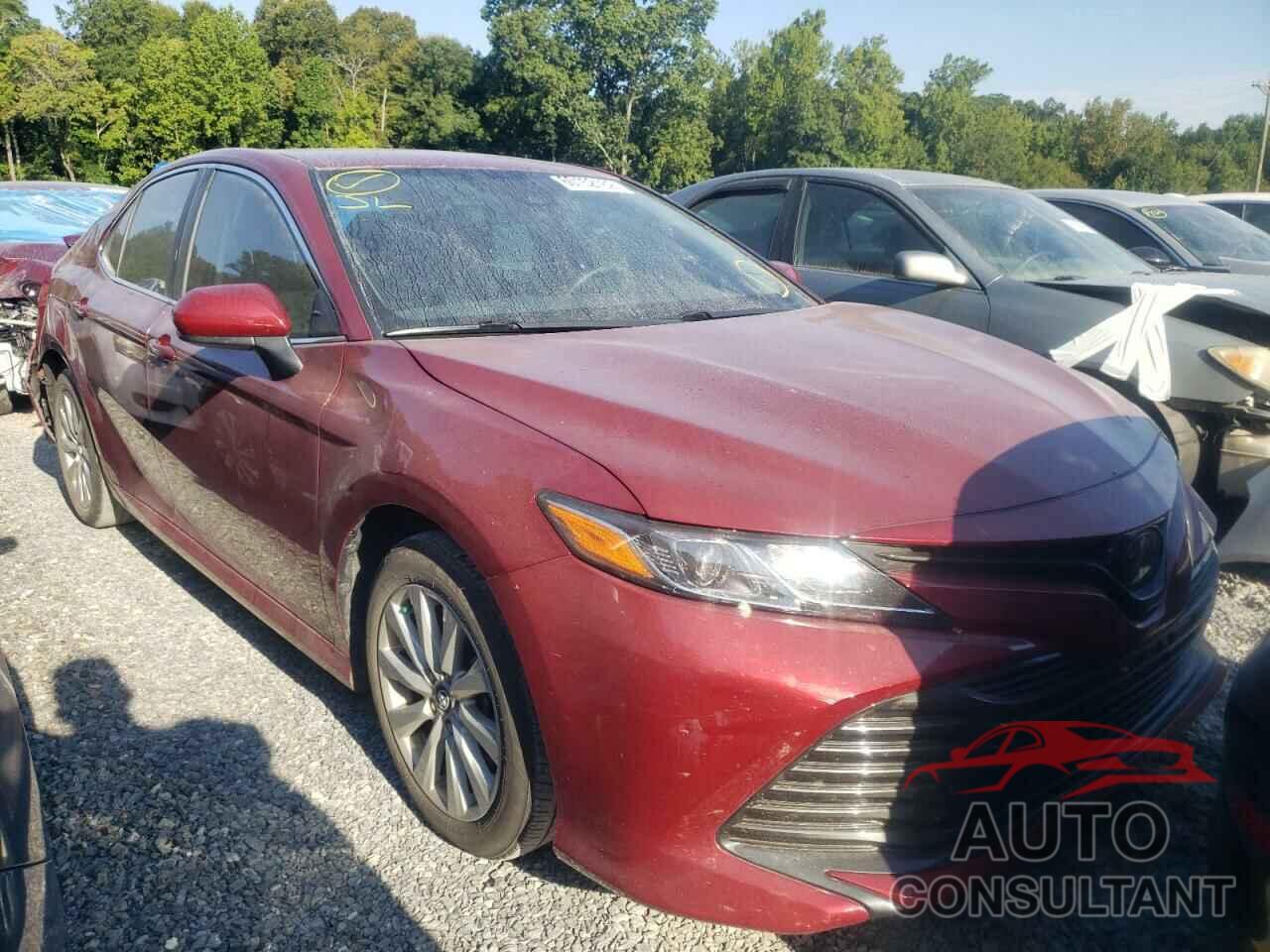 TOYOTA CAMRY 2020 - 4T1C11AK1LU890842