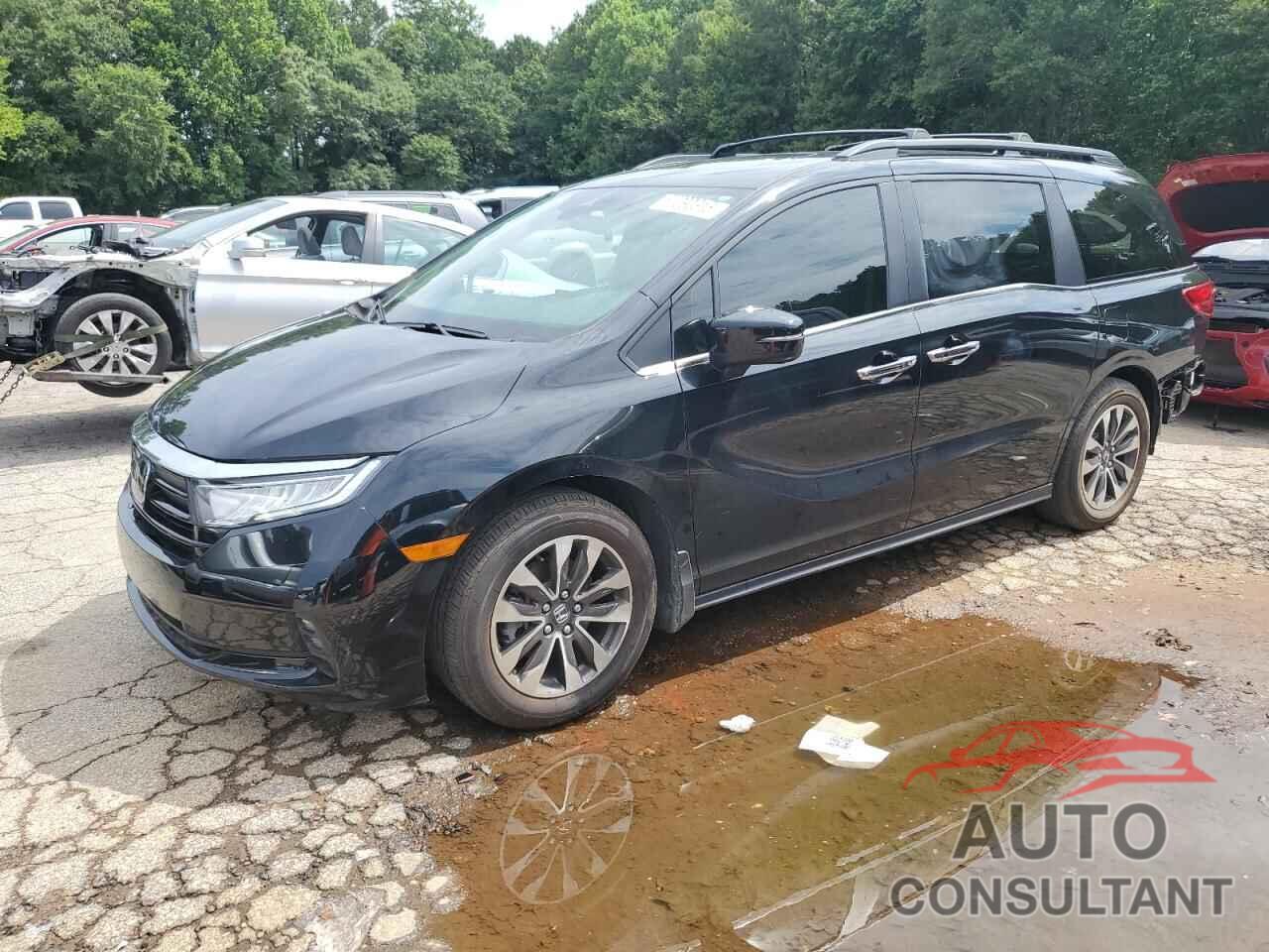 HONDA All Models 2022 - 5FNRL6H76NB017333