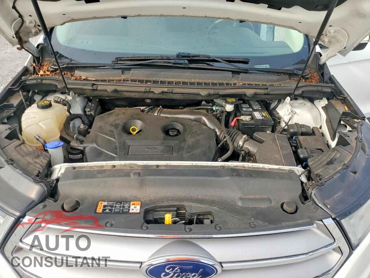 FORD EDGE 2017 - 2FMPK3J96HBC59055
