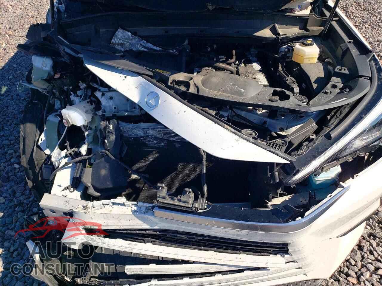 LEXUS UNKNOWN 2025 - 5TDAAAB63SS022180