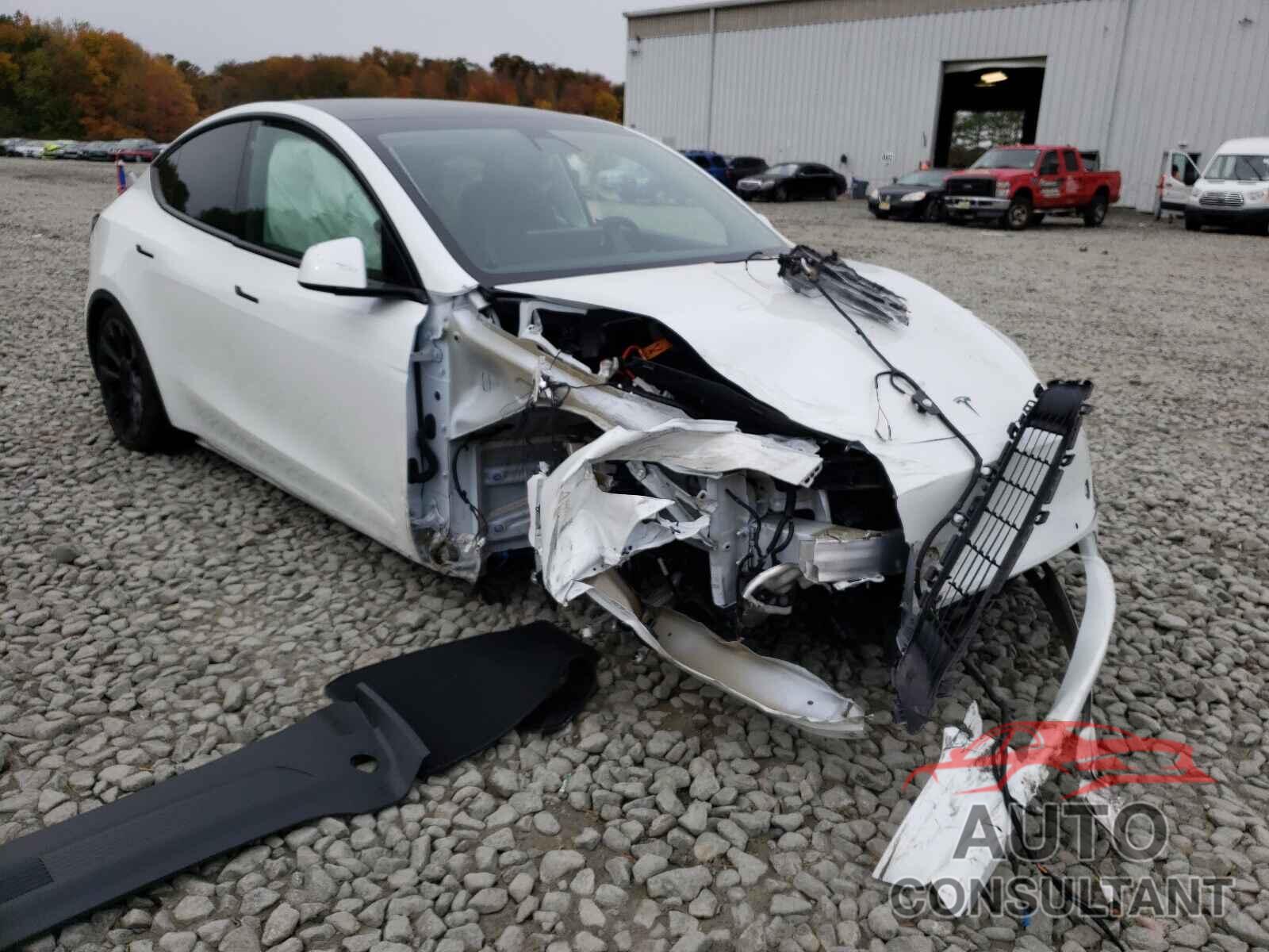 TESLA MODEL Y 2021 - 5YJYGDEE6MF138966