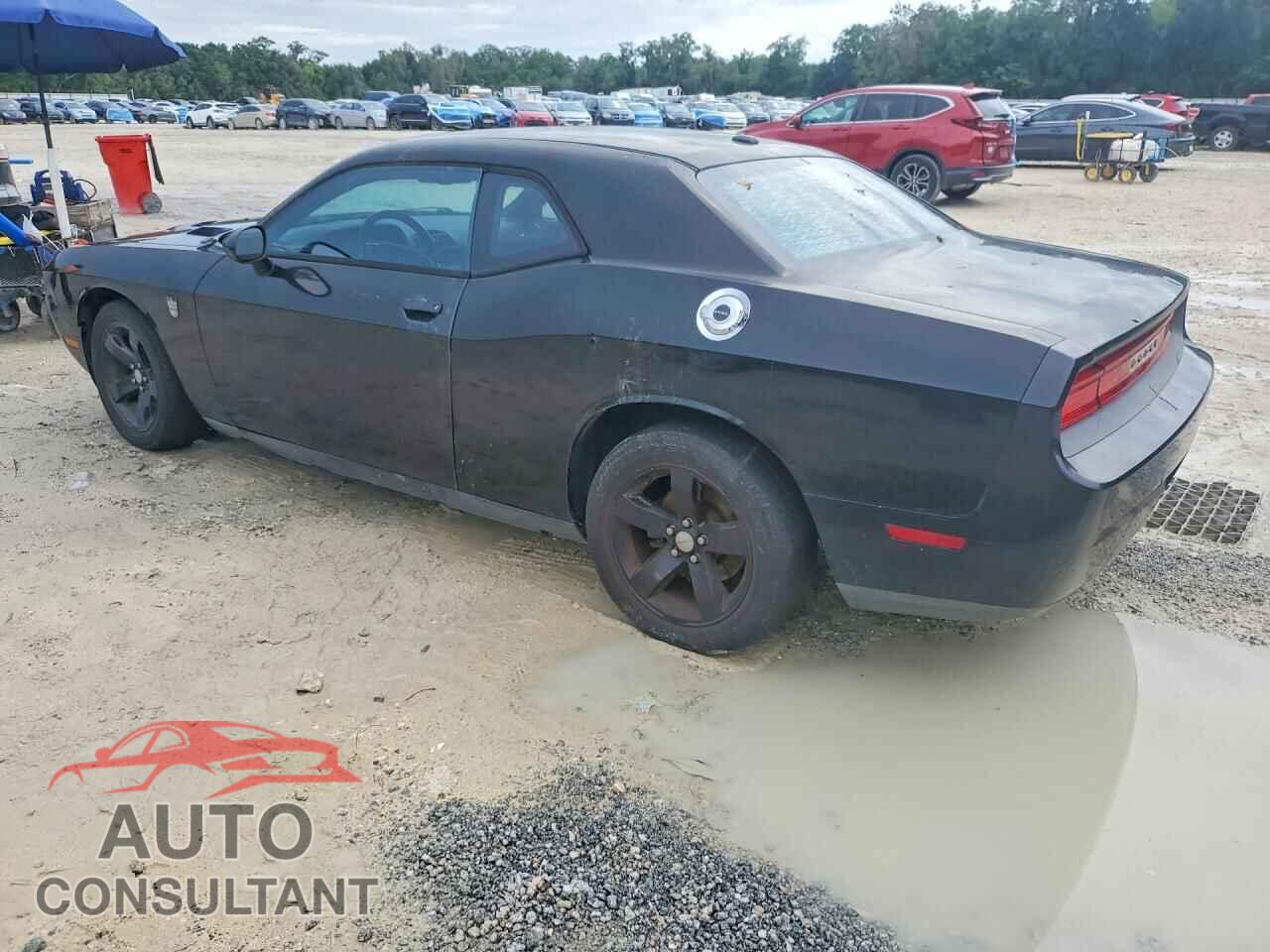 DODGE CHALLENGER 2012 - 2C3CDYAG3CH269173