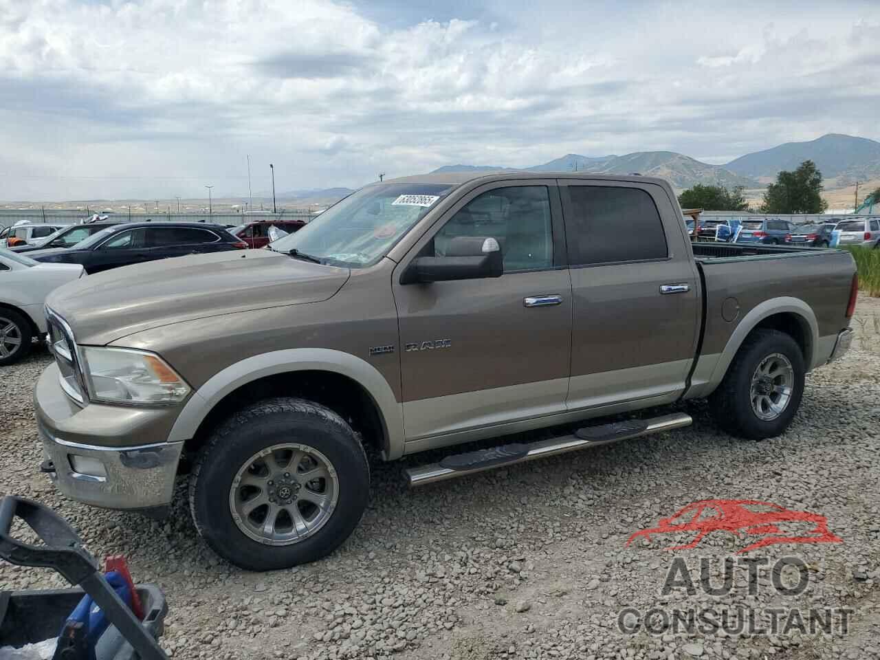 DODGE All Models 2009 - 1D3HV13T69S743870