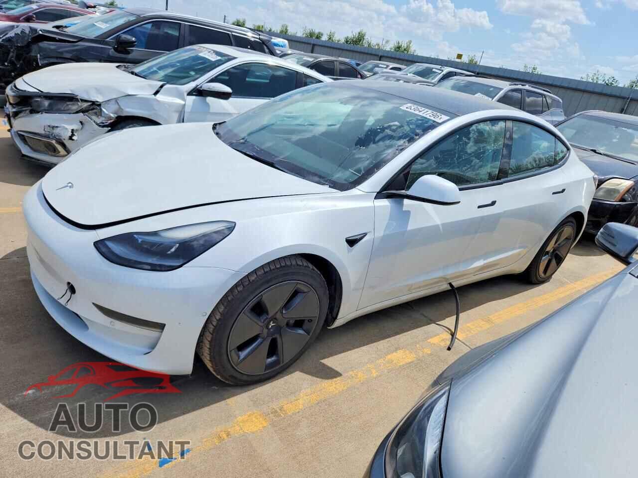TESLA MODEL 3 2021 - 5YJ3E1EA8MF100280