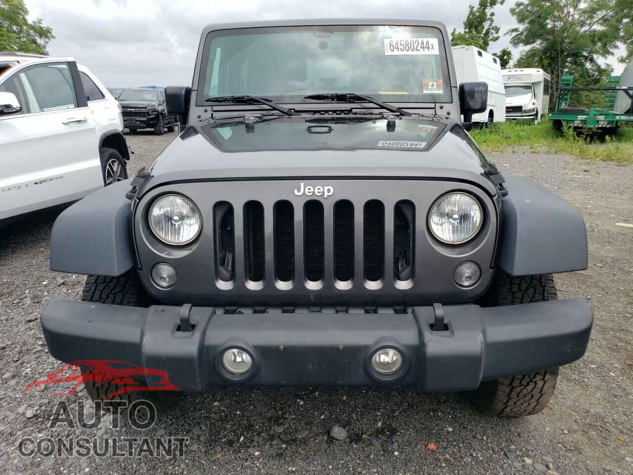 JEEP WRANGLER 2017 - 1C4AJWAG3HL666733