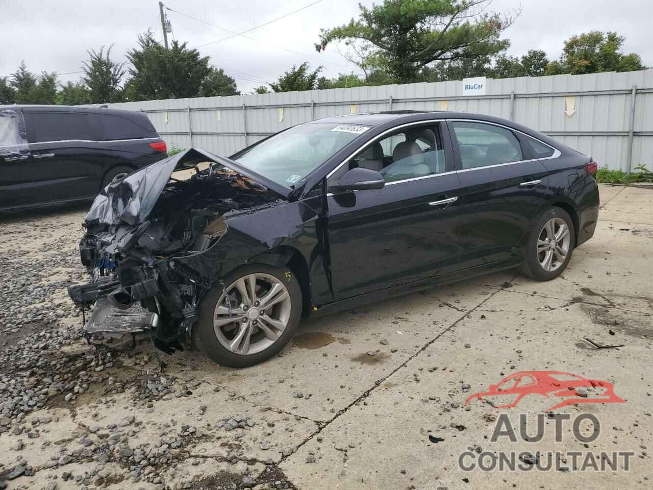 HYUNDAI SONATA 2019 - 5NPE34AF1KH785562
