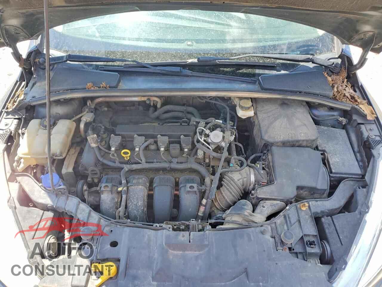 FORD FOCUS 2017 - 1FADP3E20HL337602