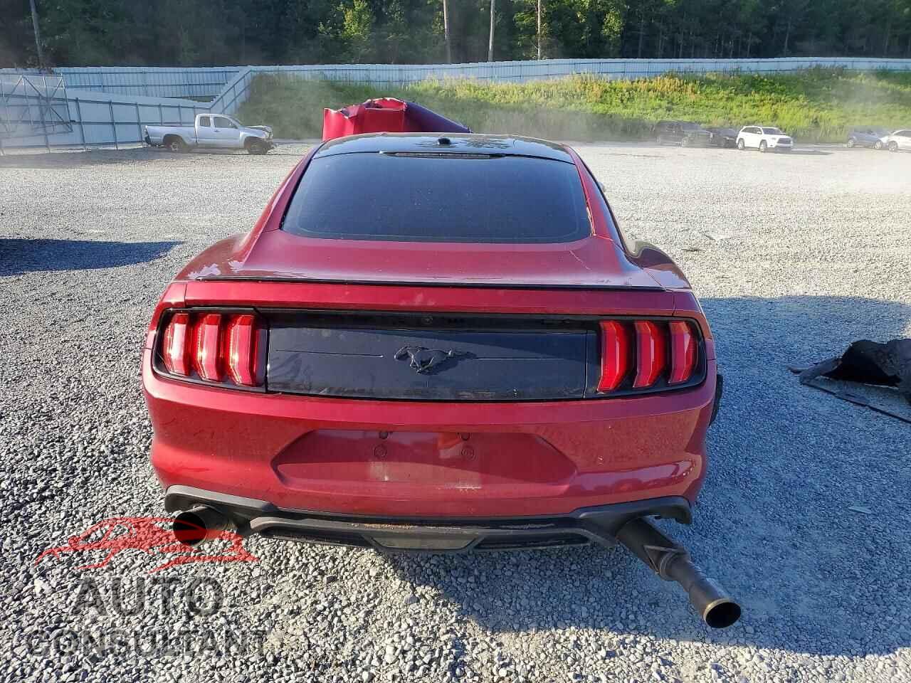 FORD MUSTANG 2019 - 1FA6P8TH2K5117466