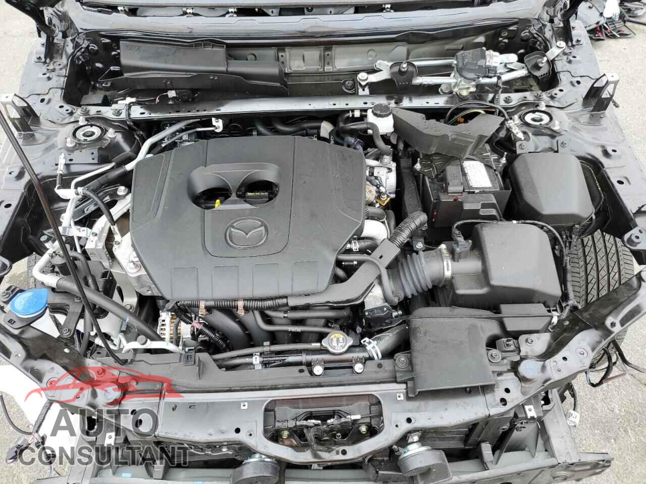 MAZDA CX30 2025 - 3MVDMBCM4SM795357