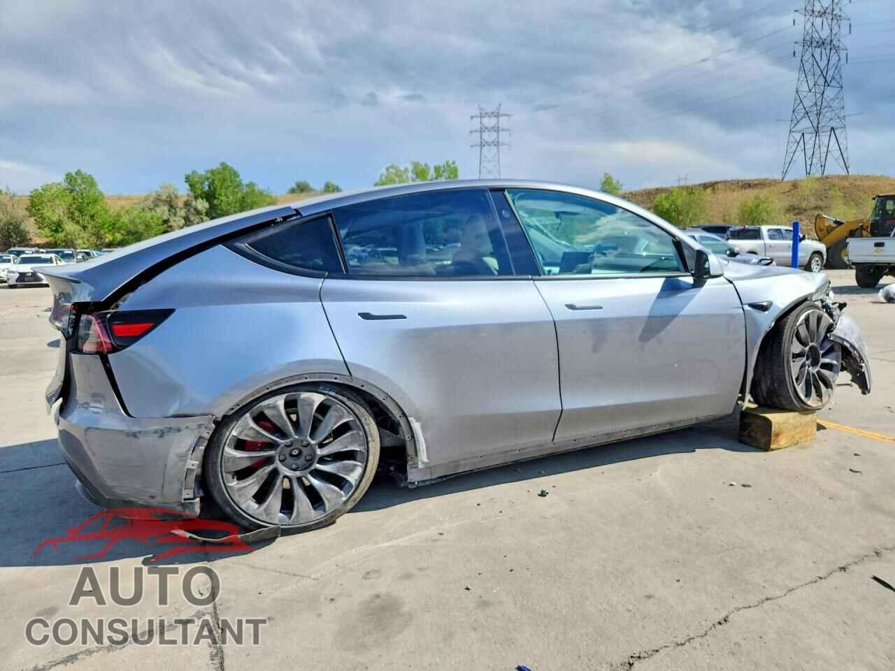 TESLA MODEL Y 2024 - 7SAYGDEF5RF116489